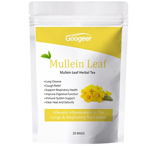 Natural Wellness Essentials