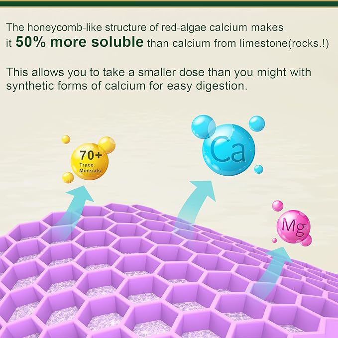 Calcium Magnesium Zinc Gummies